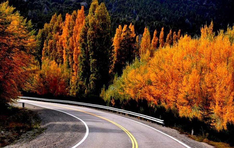 Lo del Francés Alojamiento Turístico